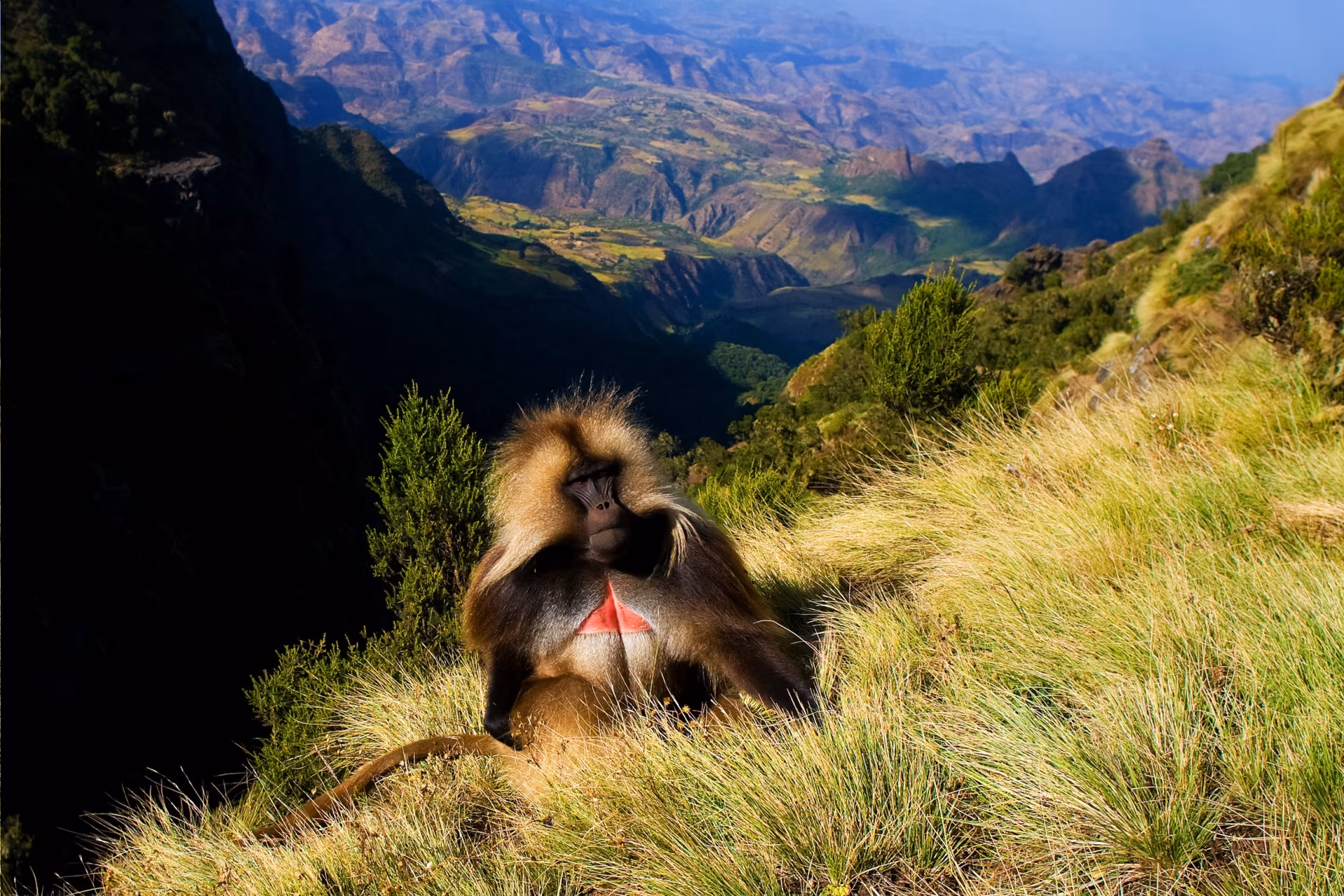 Grand tour of Éthiopie: From tribal territories of the Omo Valley to ancient kingdoms of the Abyssinian highlands